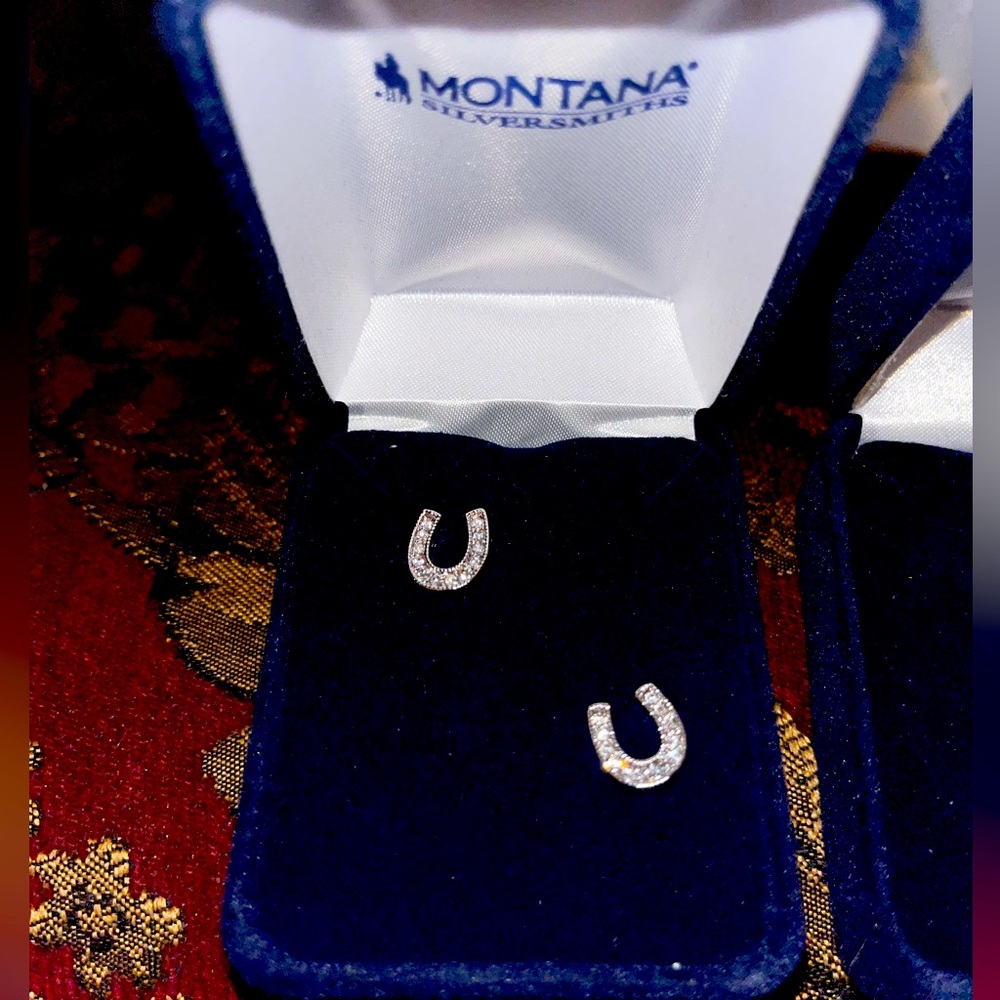 Horseshoe earrings